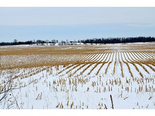 Property photo 9 - AUCTION, 206 Contiguous Acres offered in 5 Tracts
